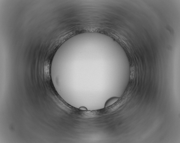 X0000113260238200909101257