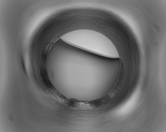 X0000113260239200909101256