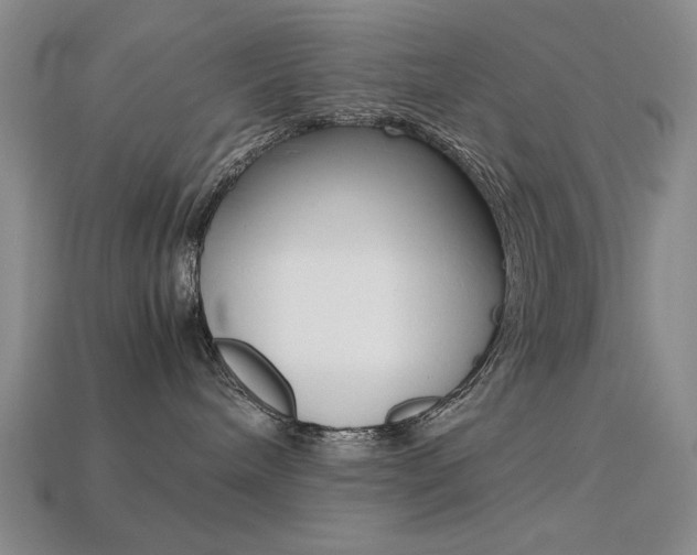 X0000113260240200909101256