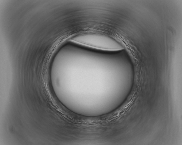 X0000113260241200909101256