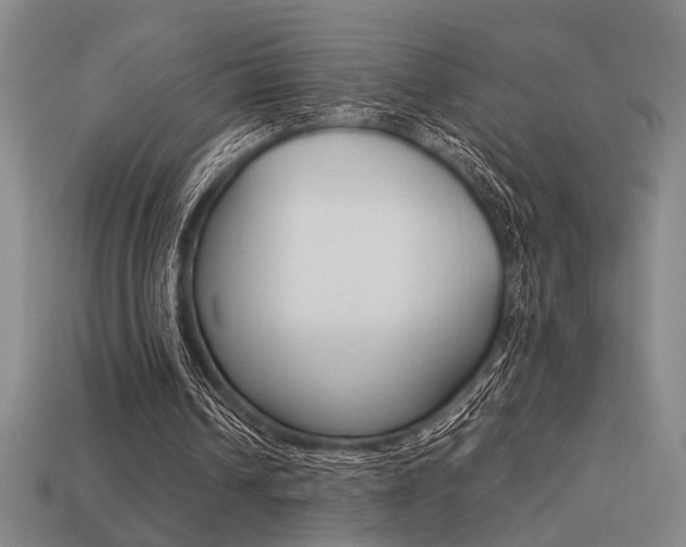 X0000113260242200909101256