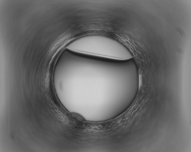 X0000113260243200909101256