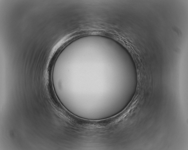 X0000113260246200909101256