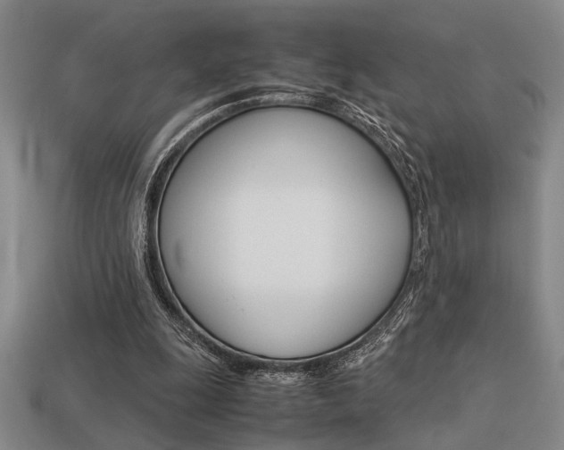 X0000113260247200909101256