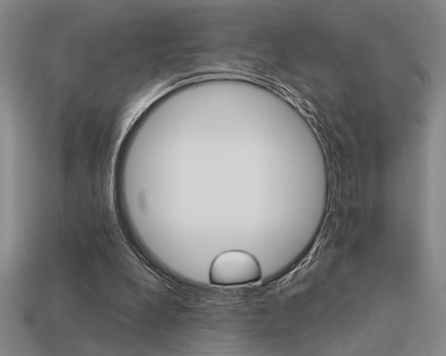 X0000113260248200909101256