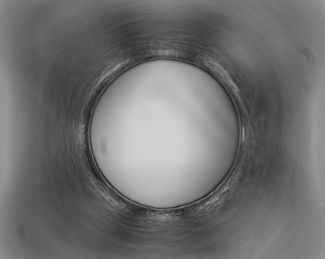 X0000113260249200909101256