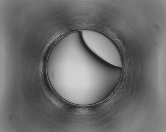 X0000113260250200909101256