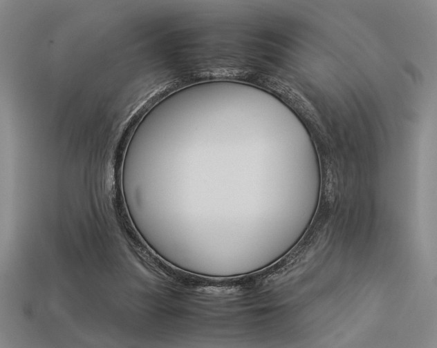 X0000113260251200909101256