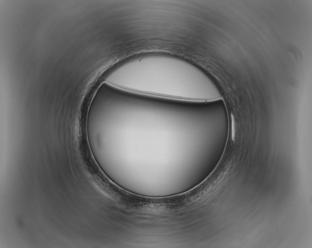 X0000113260252200909101256