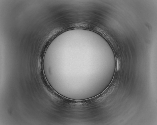 X0000113260253200909101256