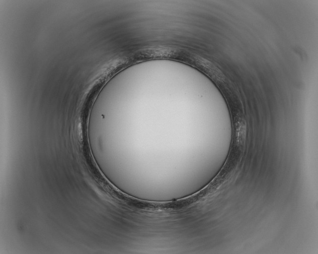 X0000113260254200909101256