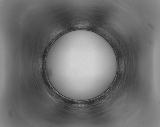 X0000113260255200909101256