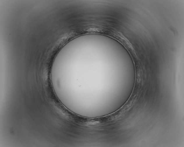 X0000113260257200909101256