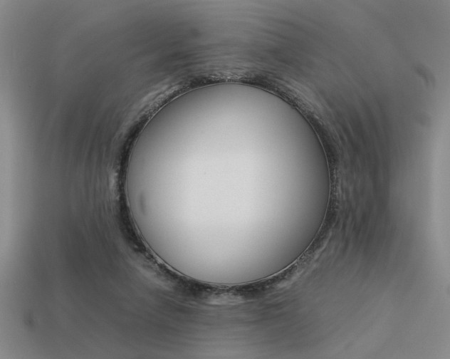 X0000113260258200909101256