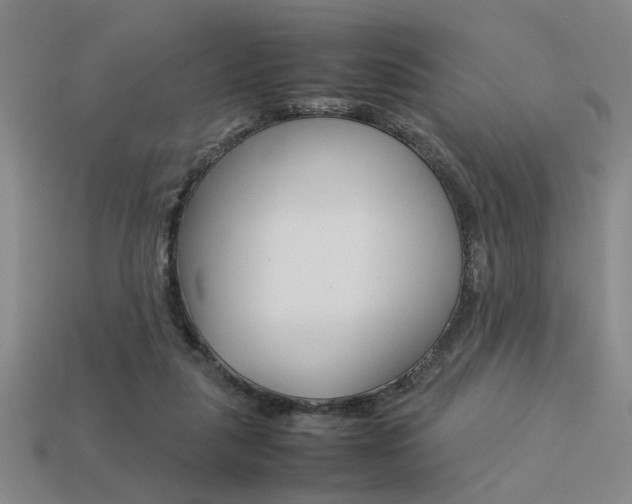 X0000113260259200909101256