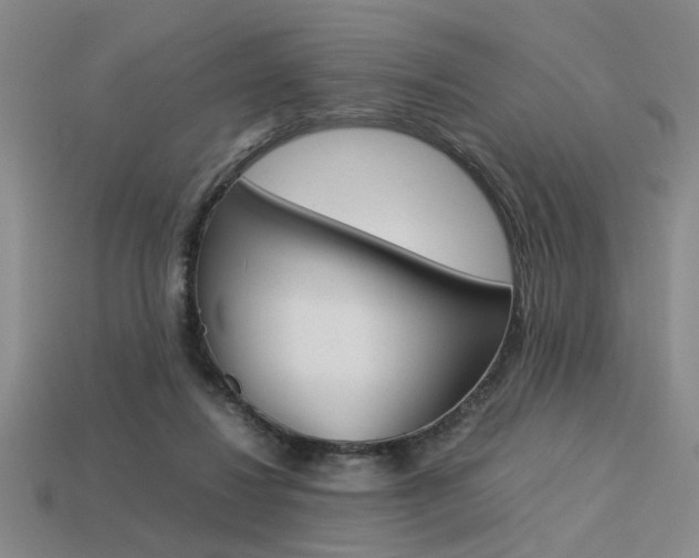 X0000113260260200909101256