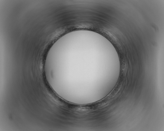 X0000113260261200909101256