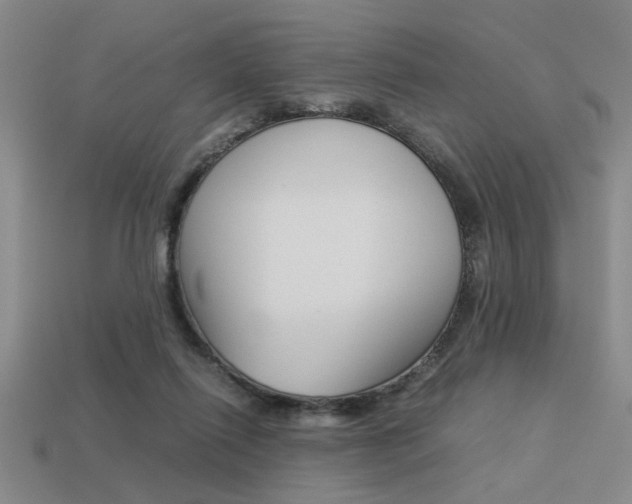 X0000113260262200909101256