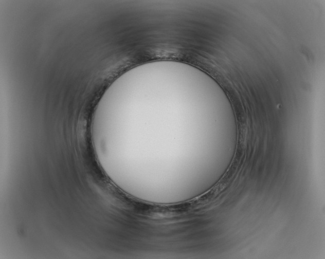 X0000113260263200909101256