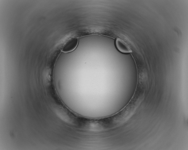 X0000113260264200909101256