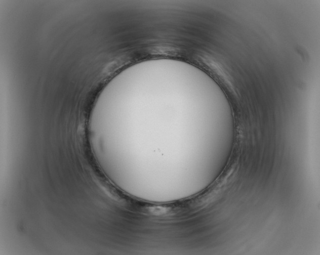 X0000113260265200909101256