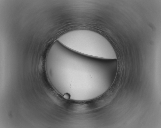 X0000113260266200909101256