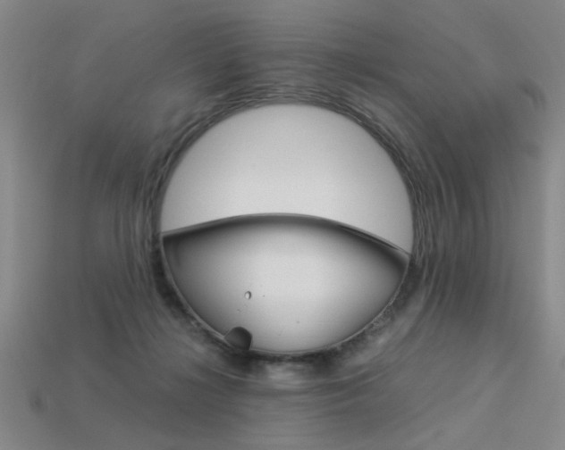 X0000113260268200909101256