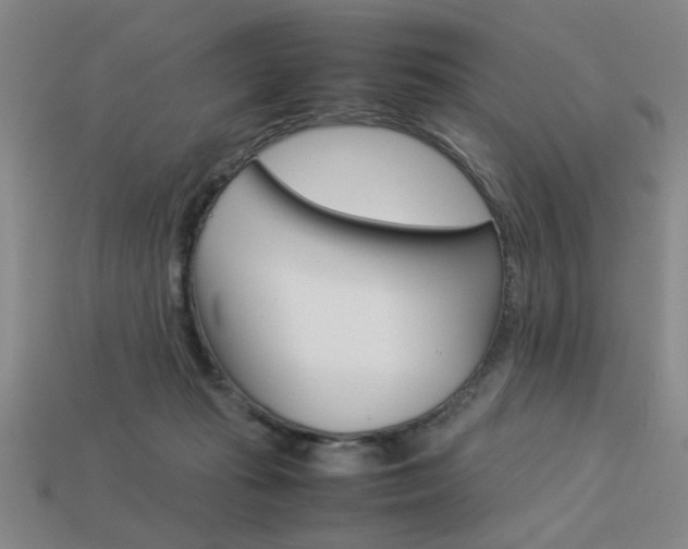 X0000113260269200909101256