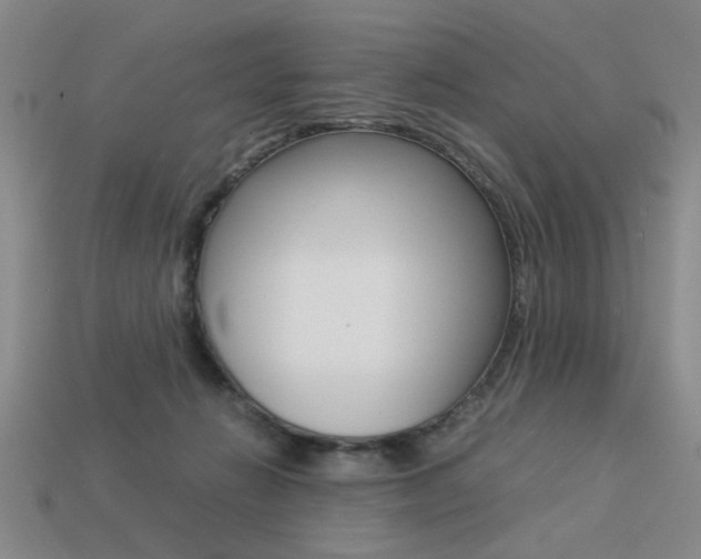 X0000113260270200909101256