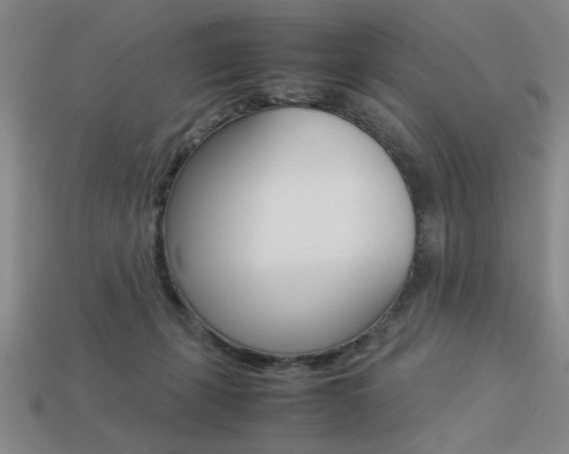 X0000113260271200909101256