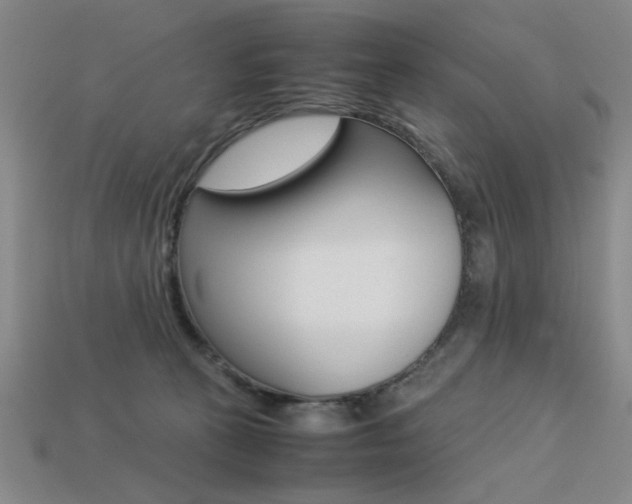 X0000113260273200909101256