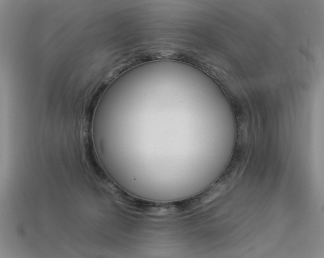 X0000113260274200909101256