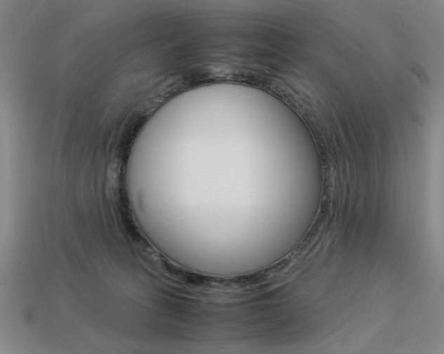 X0000113260275200909101256