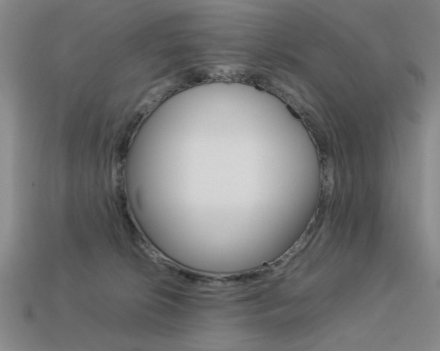 X0000113260276200909101256