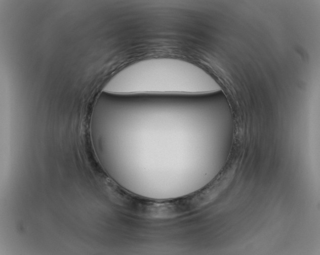 X0000113260277200909101256