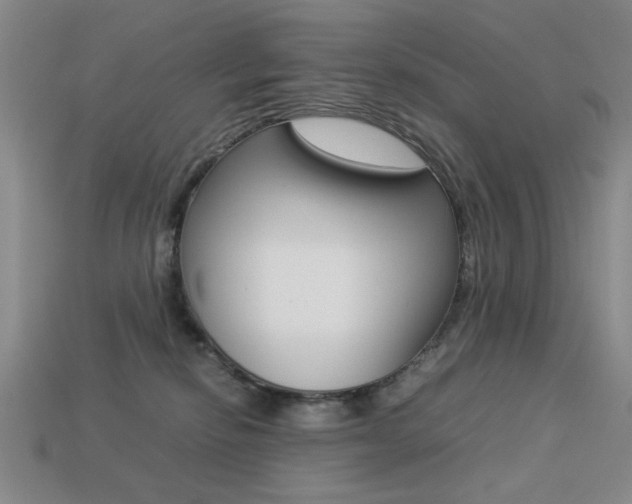 X0000113260278200909101256