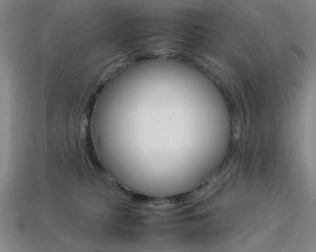 X0000113260279200909101256