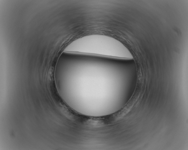 X0000113260280200909101256