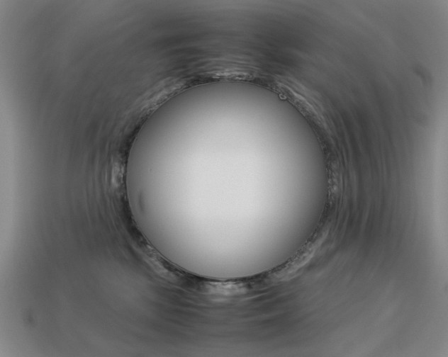 X0000113260281200909101256