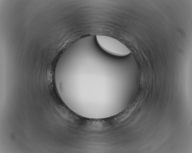 X0000113260282200909101256