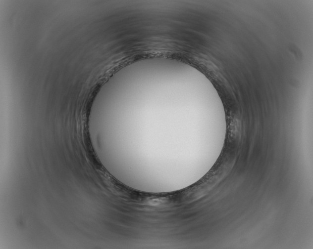 X0000113260283200909101256