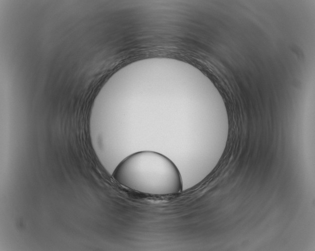 X0000113260284200909101256