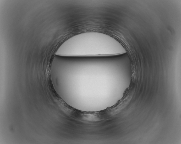 X0000113260285200909101256