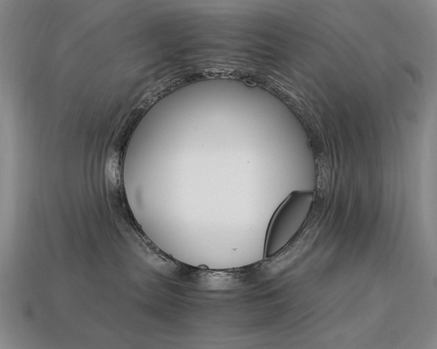 X0000113260287200909101256