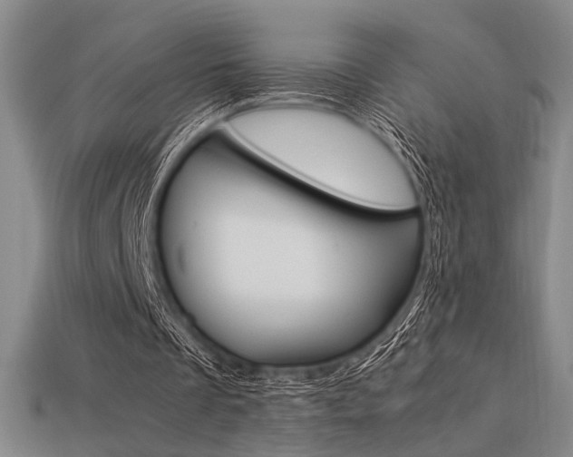 X0000113260289200909101256