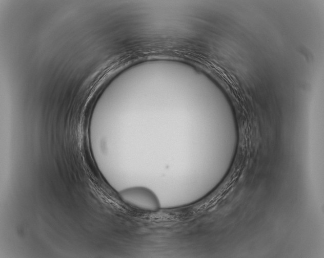 X0000113260290200909101256