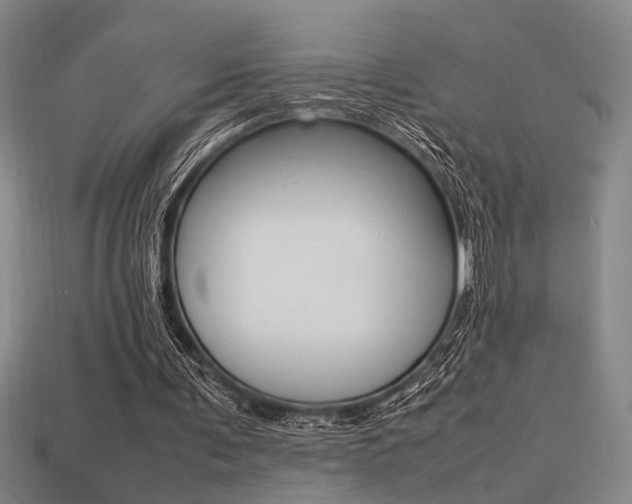 X0000113260291200909101256