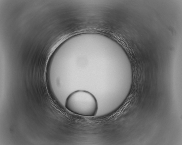 X0000113260292200909101256