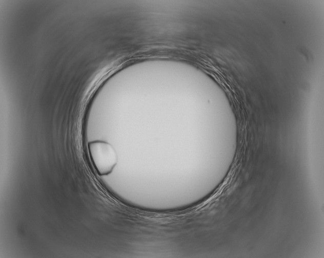 X0000113260293200909101256