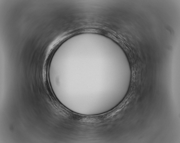 X0000113260294200909101256